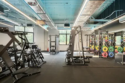 Fitness Academy Awicenny